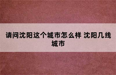 请问沈阳这个城市怎么样 沈阳几线城市